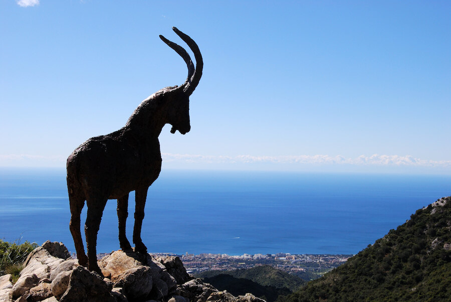 Silhouette of a Spanish ibex standing on a rocky mountain viewpoint overlooking the Mediterranean Sea.