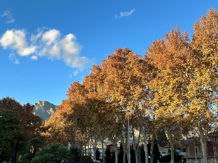 Golden autumn trees lining a street with mountain views, showcasing the scenery of autumn hikes near Marbella.