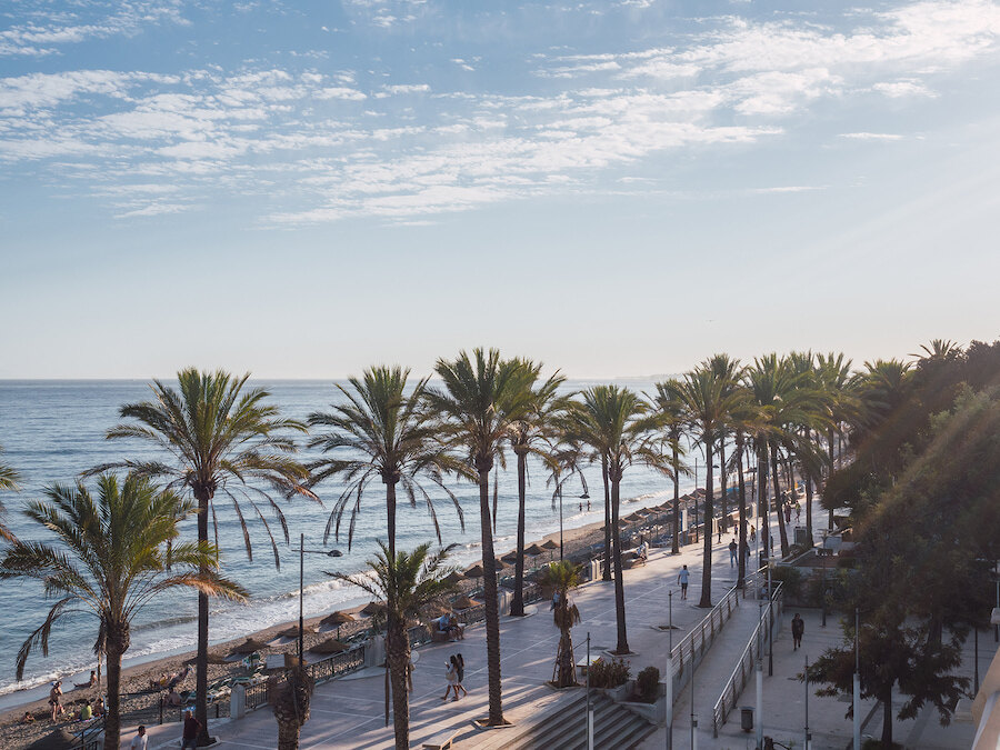 Marbella promenade lined with palm trees beside the Mediterranean Sea