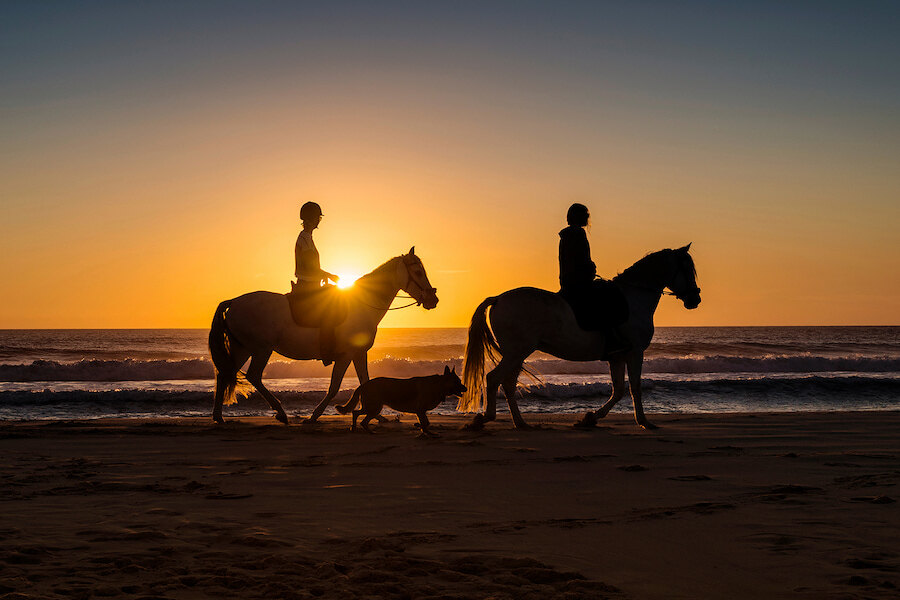 Equitación en Marbella al atardecer con dos jinetes en la playa y un perro caminando junto a ellos.