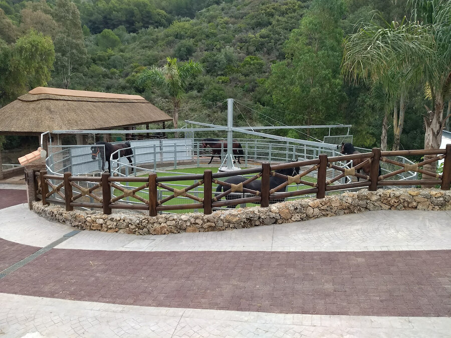 Caminador para caballos en un centro ecuestre de equitación en Marbella rodeado de abundante vegetación.