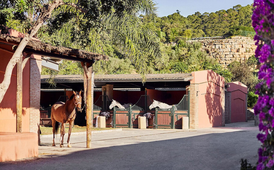 Patio de establos para la equitación en Marbella con caballos fuera de boxes tradicionales.