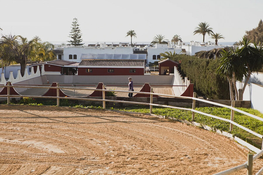 Pista exterior cerca de la costa para la equitación en Marbella con palmeras y vistas al mar.
