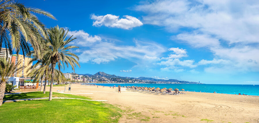 Wide urban beach with palm trees, golden sand and calm sea, showcasing the appeal of Blue Flag beaches in Málaga.