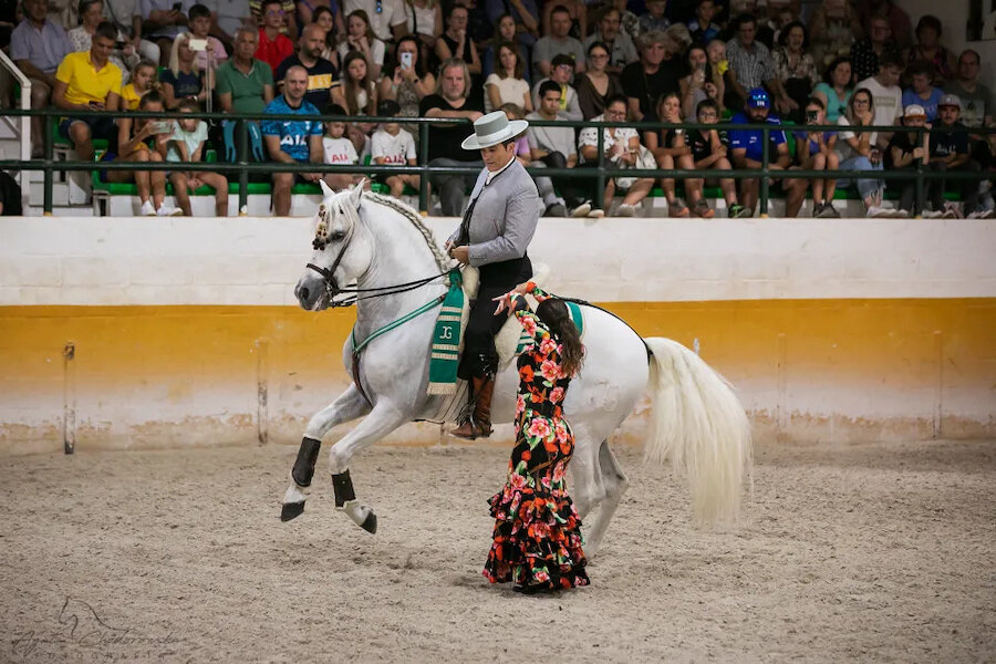 Espectáculo ecuestre tradicional durante la equitación en Marbella con un caballo blanco, un jinete y una artista de flamenco.