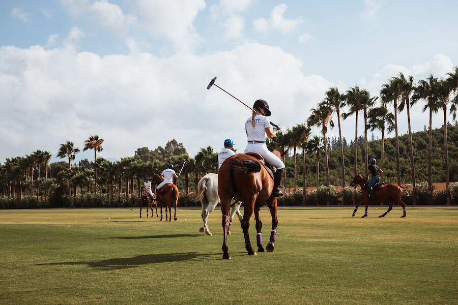 Jugadores de polo disfrutando de la equitación en Marbella en un campo bordeado de palmeras bajo un cielo soleado.