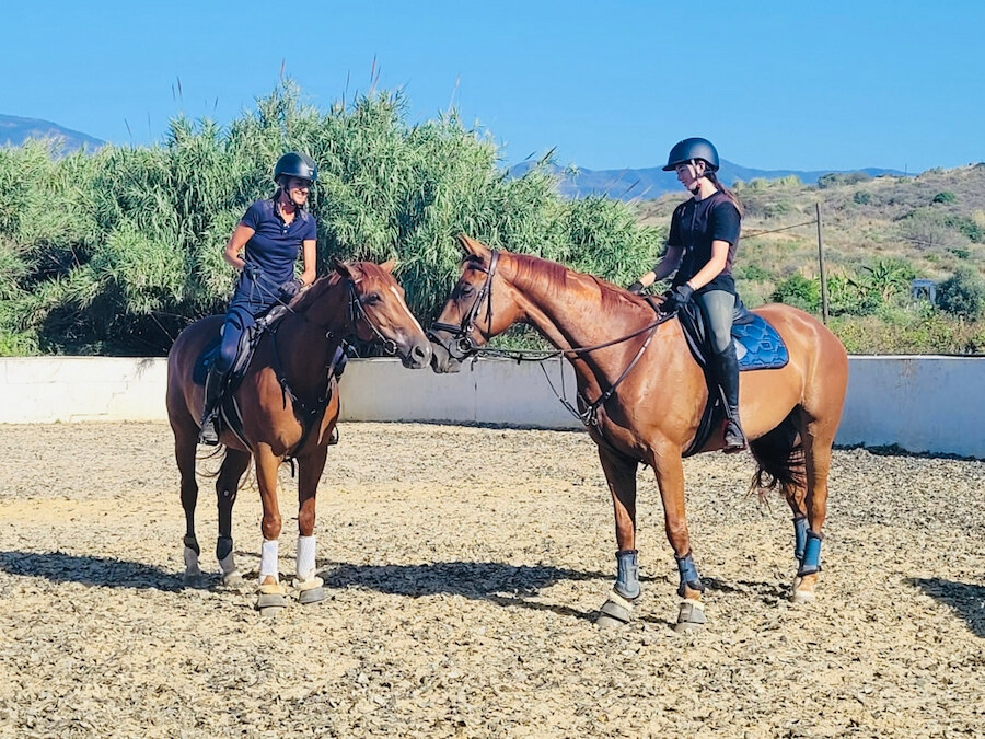Dos jinetes practicando equitación en Marbella sobre caballos castaños en una pista exterior de entrenamiento.