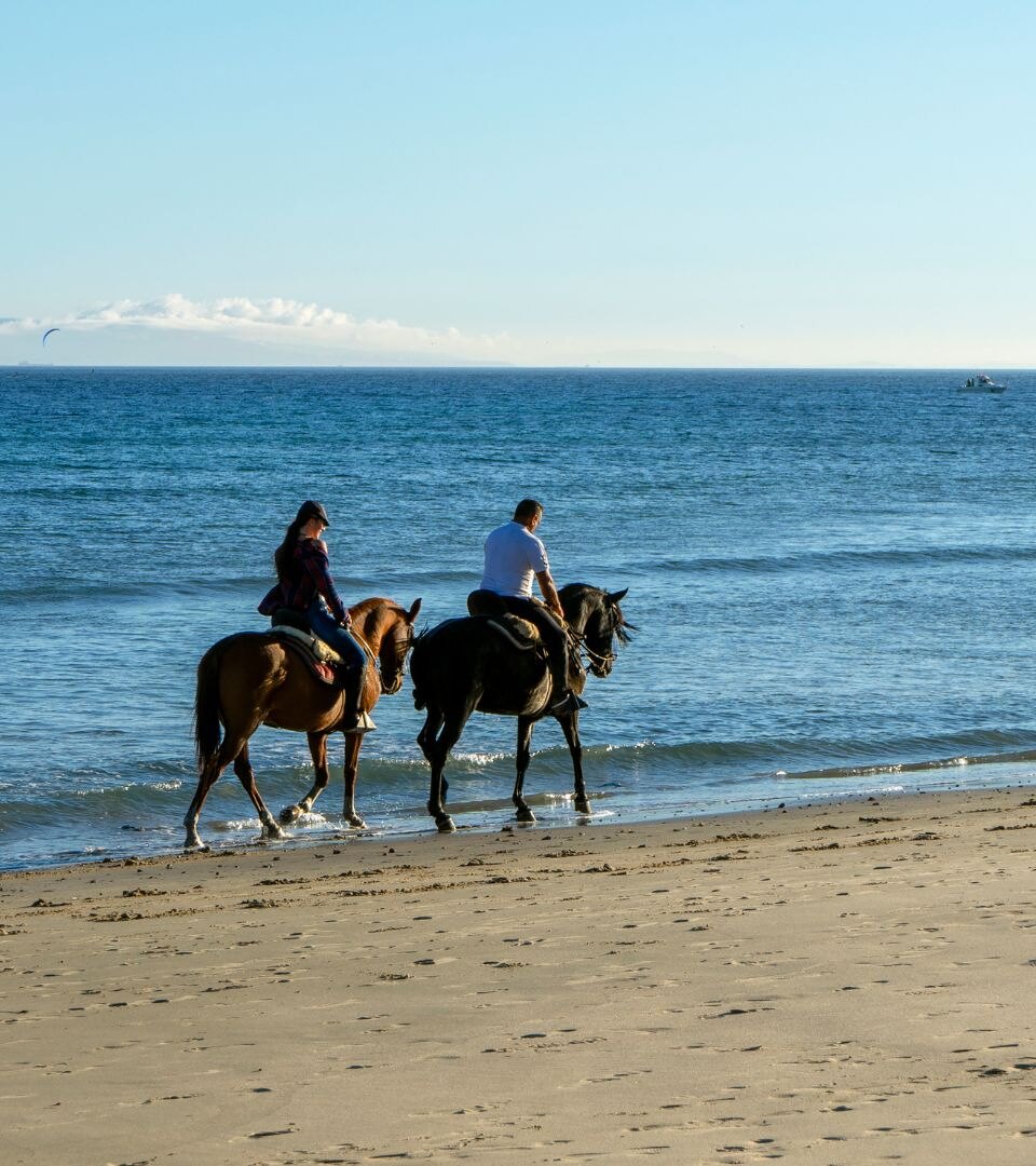 Tranquila equitación en Marbella con dos jinetes disfrutando de un paseo por la playa junto a la orilla.
