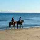 Peaceful horse riding in Marbella with two riders enjoying a beach ride along the shoreline.
