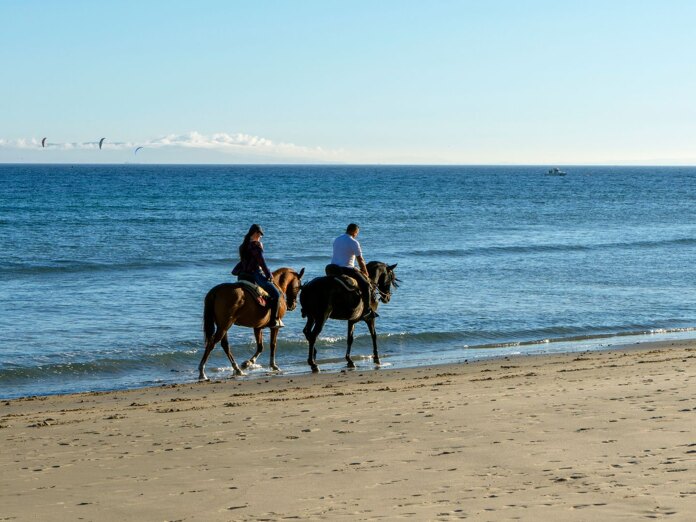 Paisible équitation à Marbella avec deux cavaliers profitant d’une balade sur la plage le long du rivage.