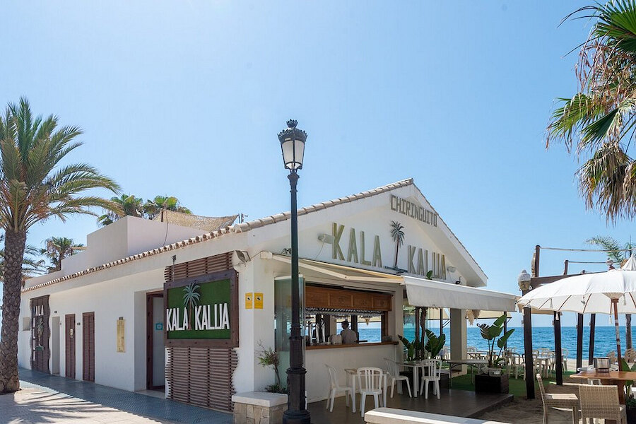 Beachfront restaurant exterior in Marbella with palm trees, outdoor seating, and sea views, representing the charm of seafood restaurants in Marbella.