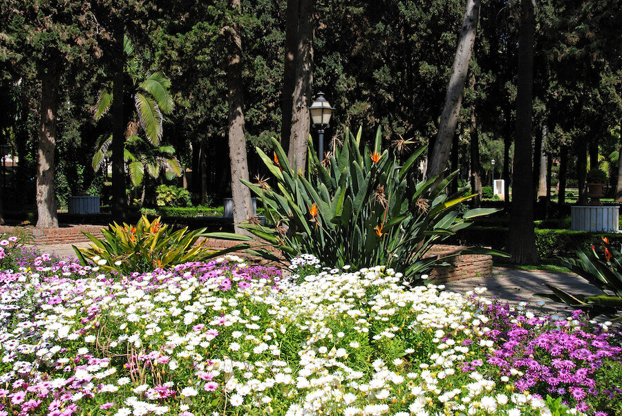 Immobilie in Marbella kaufen. Frühlingsblumen in voller Blüte im Parque de la Constitución in Marbella.