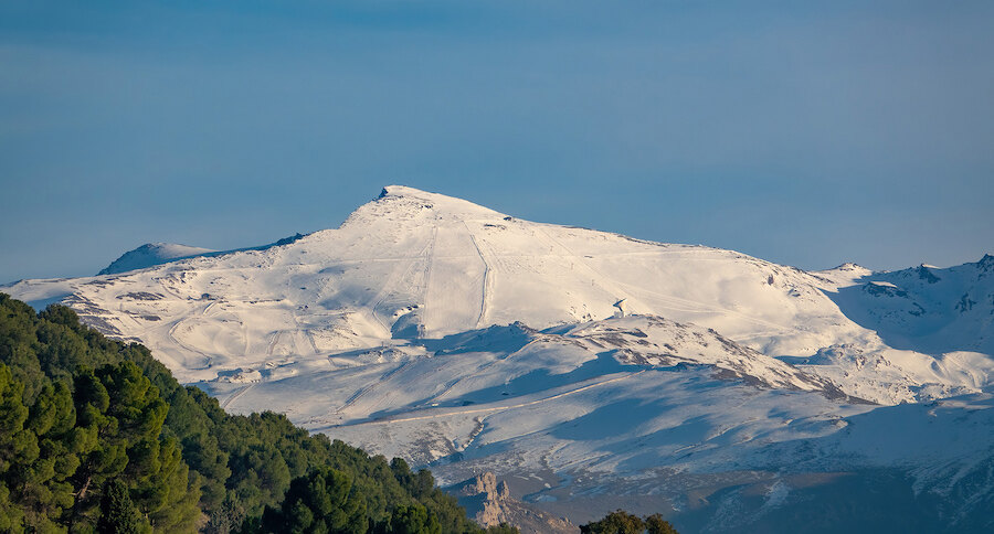 Sommet enneigé strié de traces de ski, dominant une forêt de pins au premier plan, sous un ciel bleu limpide.
