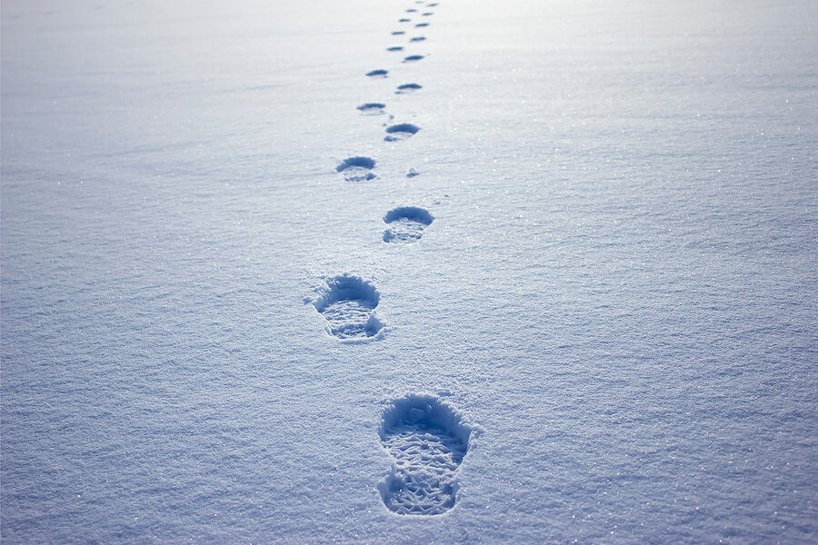 Empreintes traversant une neige fraîche et immaculée.