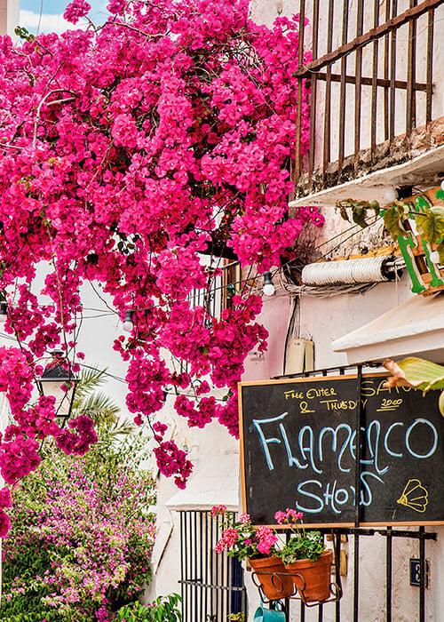 Flamenco sign: Marbella streets