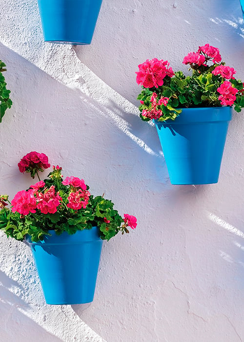 Wall decorated with plants in Marbella