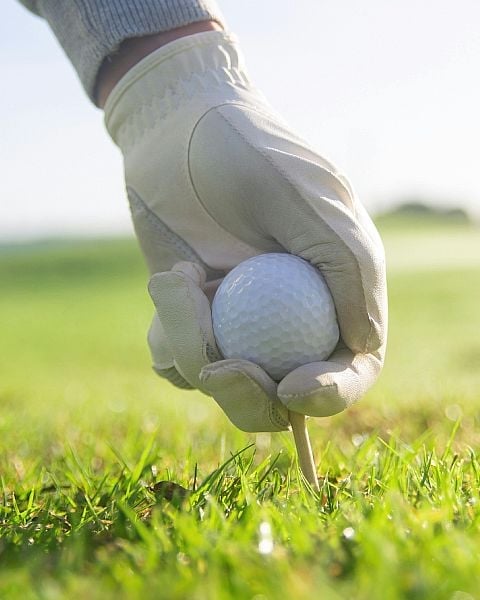 Aanvankelijk werd Guadalmina Baja gebruikt voor landbouw, maar in de daaropvolgende jaren begon dit te veranderen en het gras en de greens van een golfbaan vervingen de maïs en tarwe.