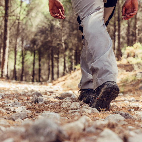 Hiking trails in Benahavís
