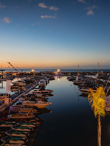 Night view of Puerto Banús