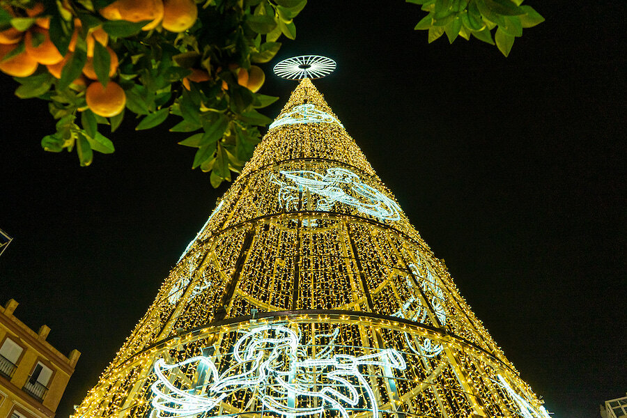 Illuminated Christmas tree sculpture covered in golden lights against the night sky, framed by orange trees in a Spanish square.