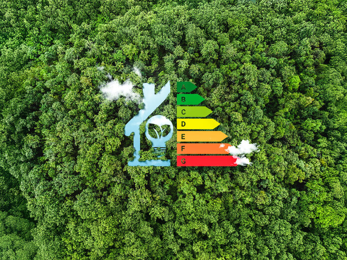 Energy efficiency rating chart from A to G shaped like a house, over a green forest background.