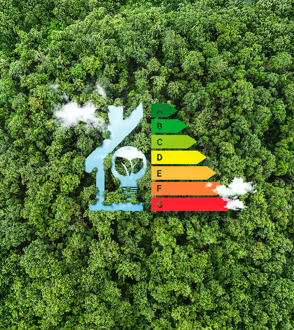 Energy efficiency rating chart from A to G shaped like a house, over a green forest background.