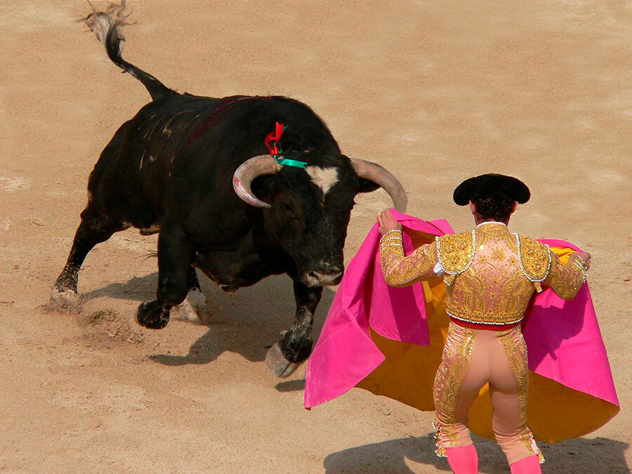 Daily bullfights take place in the historic Maestranza bullring