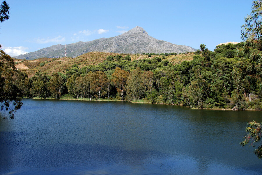 Vista serena del Lago de las Tortugas rodeado de exuberante vegetación y colinas boscosas en Nueva Andalucía, Marbella, con el distintivo pico de la montaña La Concha elevándose en el fondo bajo un cielo azul claro.