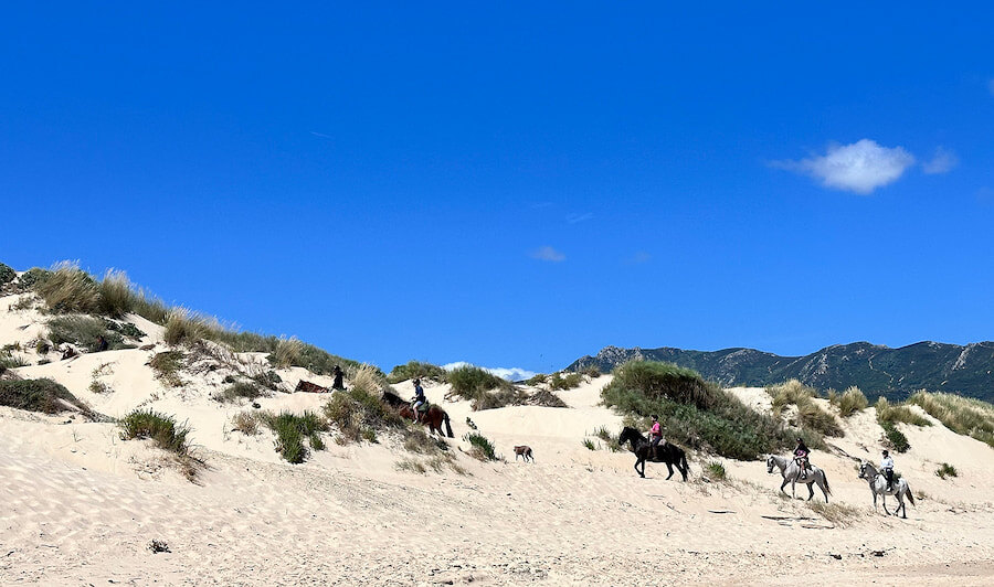 Horse riders and a dog traverse golden sand dunes under a clear blue sky, with mountain peaks in the background. A peaceful coastal landscape near Tarifa, blending sea, sand, and nature.