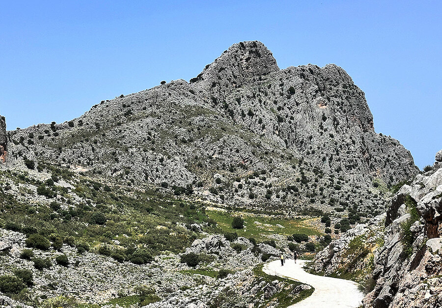 Winding mountain trail surrounded by rugged limestone peaks and scattered vegetation under a clear blue sky. Hikers can be seen in the distance, adding a sense of scale to the dramatic landscape.