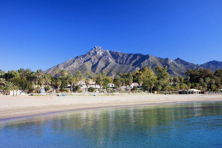 View of Marbella beach with palm trees and villas, backed by the iconic La Concha mountain under a clear blue sky.