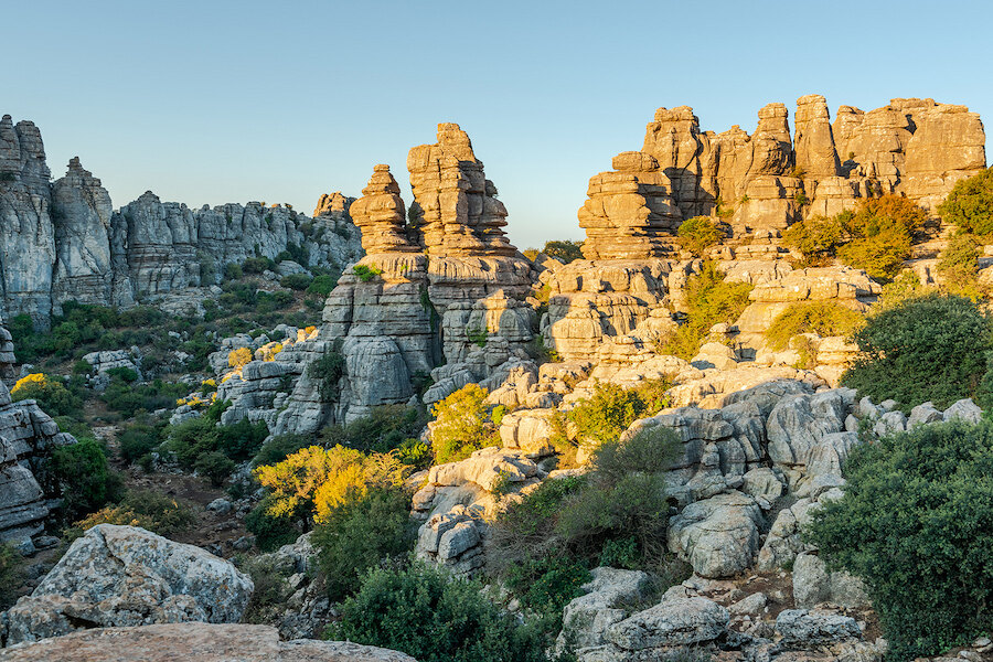 Karstformaties van El Torcal de Antequera in Málaga, verlicht door het gouden licht van de zonsondergang, met verspreide vegetatie tussen de indrukwekkende kalksteenstructuren.