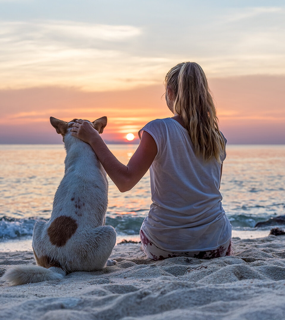 Femme assise sur le sable avec son chien, regardant le coucher de soleil sur une plage de Marbella, transmettant calme et connexion.
