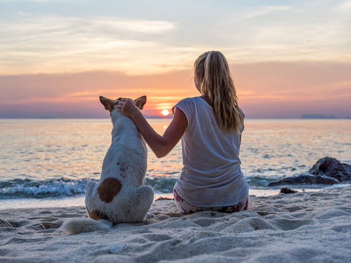 Femme assise sur le sable avec son chien, regardant le coucher de soleil sur une plage de Marbella, transmettant calme et connexion.