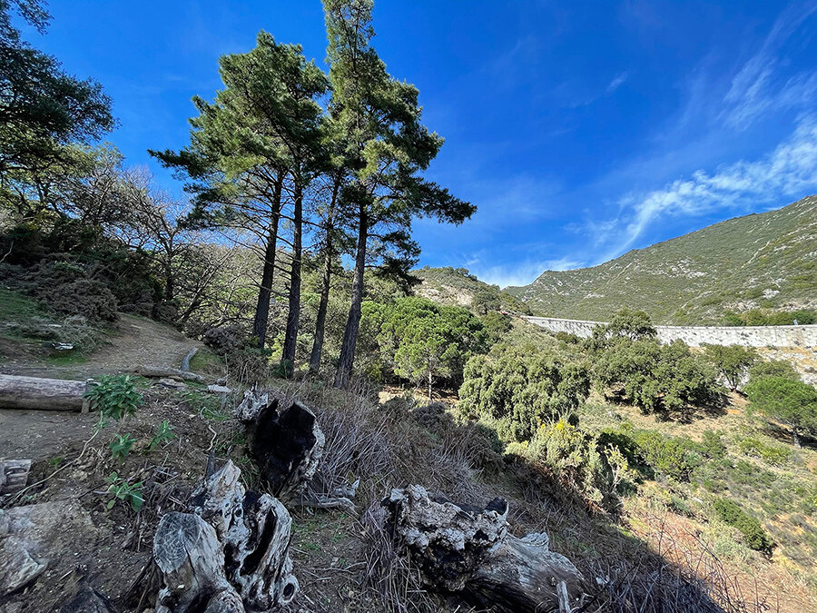 Parc national de la Sierra de las Nieves