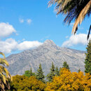 Sierra Blanca: Marbella’s most exclusive residential enclave. 