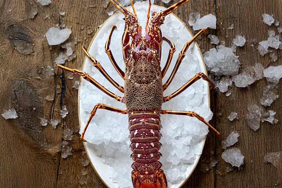 resh lobster placed on a tray with ice, presented on a wooden table.