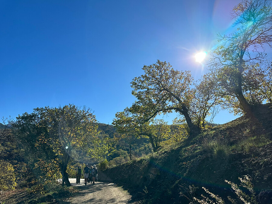 best-autumn-hikes-near-marbella