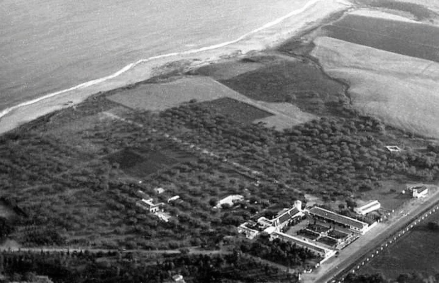 1-vida-dorada-milla-de-oro