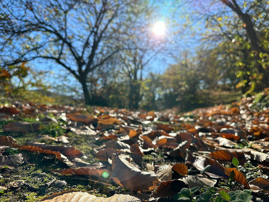 best-autumn-hikes-near-marbella