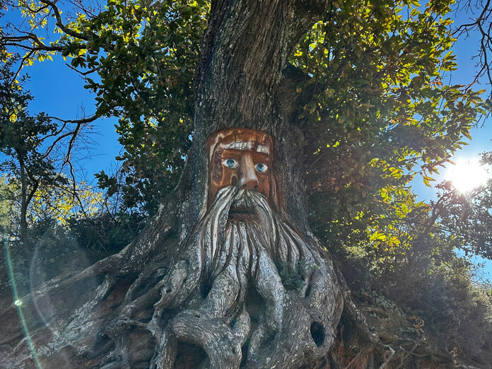 Mejores rutas de otoño cerca de Marbella