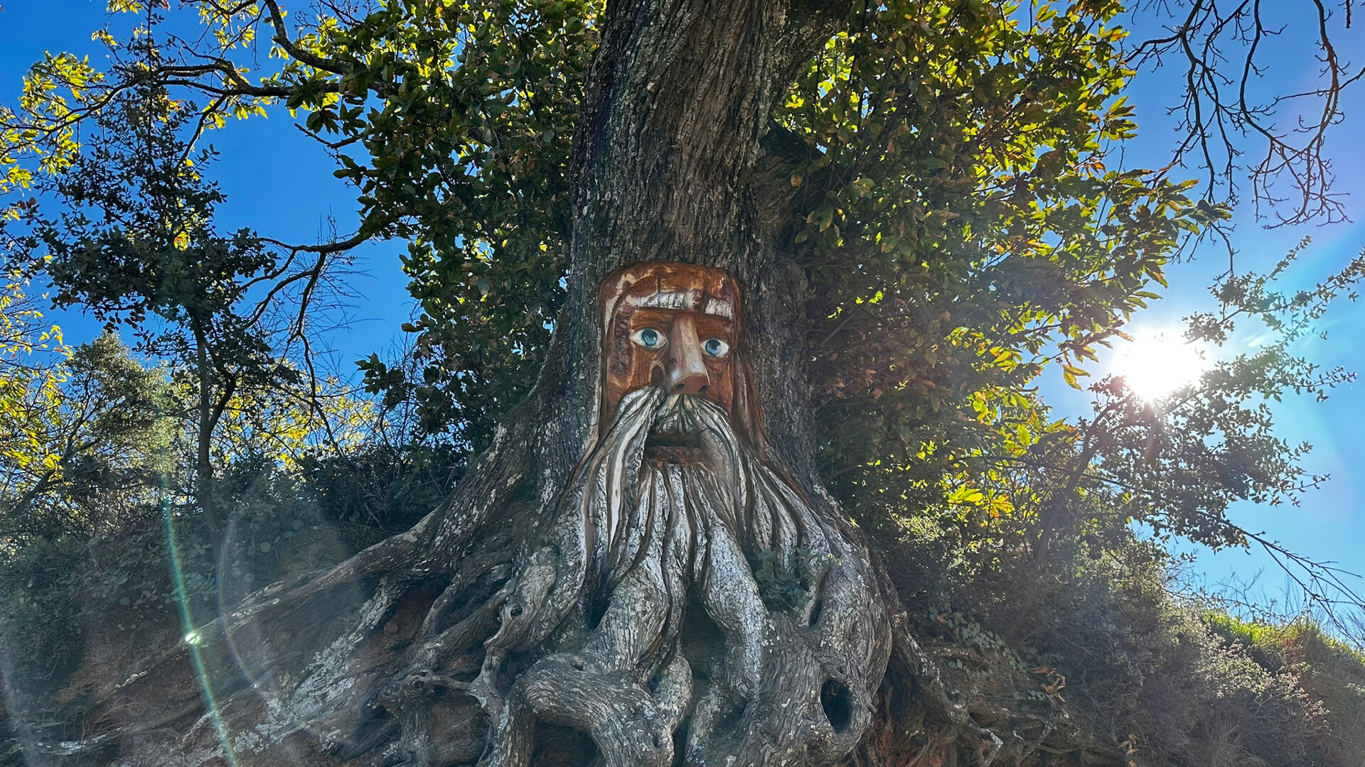 best-autumn-hikes-near-marbella