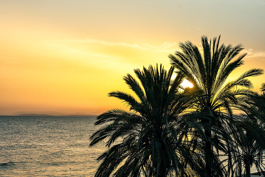 foreign investor marbella