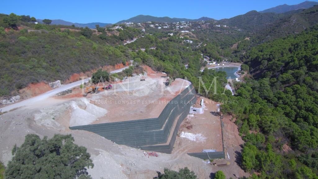 Plot with basic project and license in Montemayor